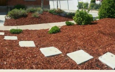 5 Things To Remember For Xeriscaping