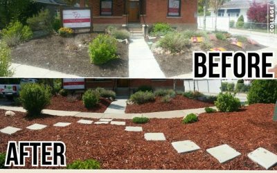How Landscaping Increases Property Value In Brigham City