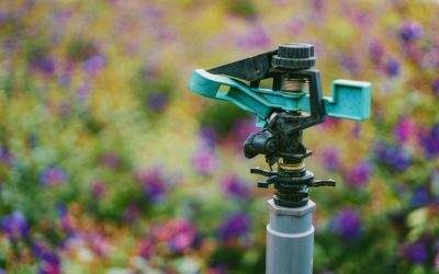 Best Watering Practices in Cache Valley