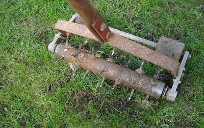 Aerate Your Lawn: Why and When