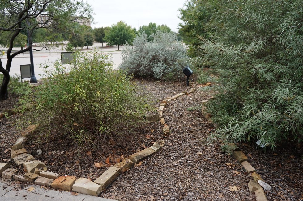 Is Xeriscaping A Good Landscaping Plan For Cache Valley?