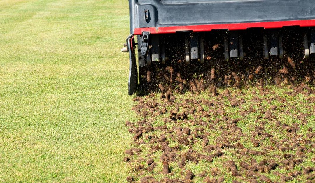 The Role of Lawn Aeration in Creating a Beautiful Yard