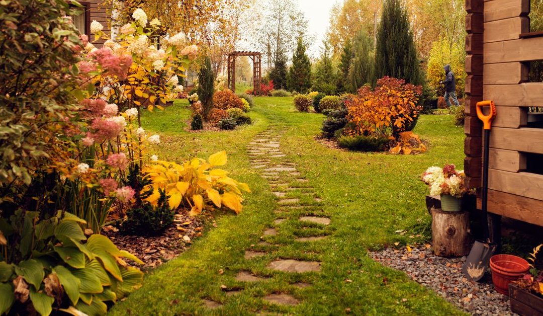 Fall Planting: Tasks to Complete Now for a Beautiful Yard Come Spring