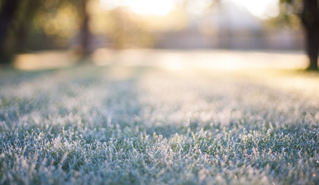 Yard Winterization Prep Checklist: How to Protect Your Landscape Before Freezing Weather